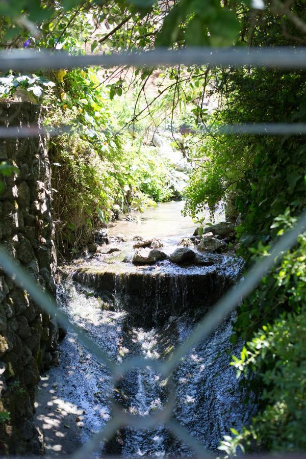 Sintra Center Guest House Escape to Nature Exterior foto